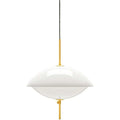 Thumbnail photo of Clam Pendant Lamp