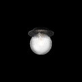 Thumbnail photo of Liila 1 Medium Wall Lamp/ceiling Lamp Ip44 Black/optic Clear