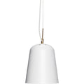 Thumbnail photo of Pendant Light