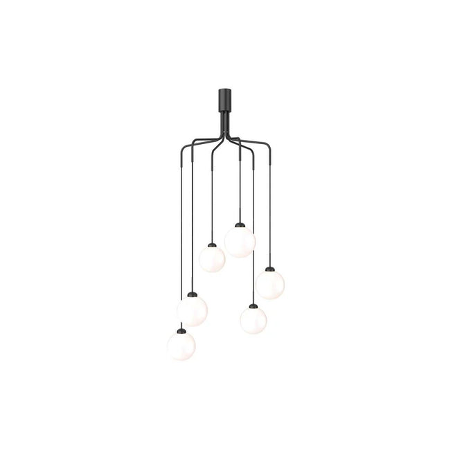 Photo of Apiales Cluster 6 Chandelier Satin Black/opal