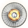 Thumbnail photo of New Wave Optic Wall Lamp 1