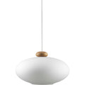 Thumbnail photo of Hiti U3 Pendant - lacquered