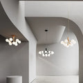Thumbnail photo of Apiales 9 Chandelier