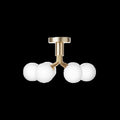 Thumbnail photo of Apiales 6 Chandelier
