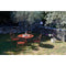 Thumbnail photo of 1900 Armchair