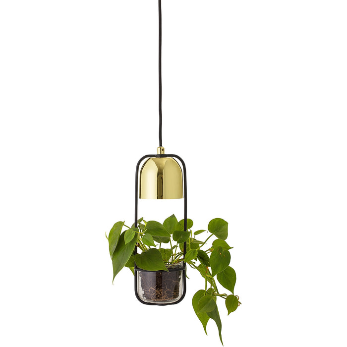 Photo of Led Pendant Light Gold Finished Glass