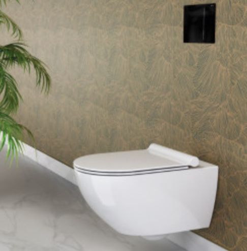 WC Zero 55 Wall-hung Newflush