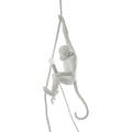 Thumbnail photo of The Monkey Lamp Ceiling - Vit - Pendellampor - Marcantonio Raimondi Malerba - Vit