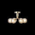 Thumbnail photo of Apiales 6 Chandelier