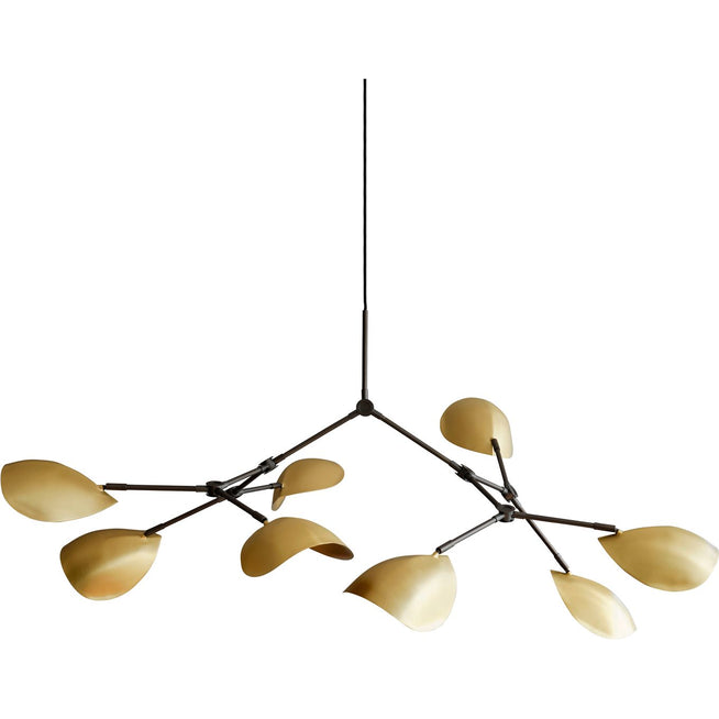 Photo of Stingray Chandelier 1