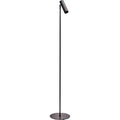 Thumbnail photo of Standard Floor Lamp