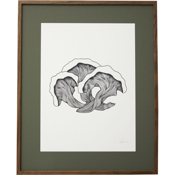 Photo of Mushrooms Illustration - Dark Oak