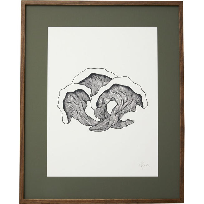 Photo of Mushrooms Illustration - Dark Oak