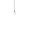 Thumbnail photo of Apiales 1 Pendant