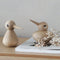 Thumbnail photo of Bird Chubby