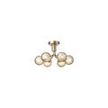 Thumbnail photo of Apiales 6 Chandelier