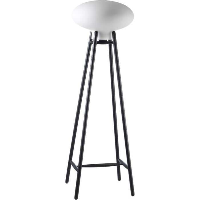 Photo of Hiti U5 Floor Lamp - Black Lacquered Oak