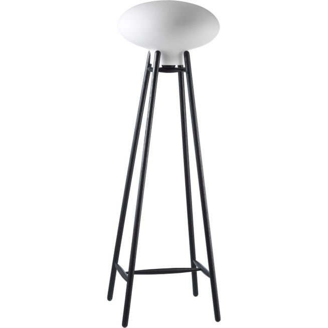 Photo of Hiti U5 Floor Lamp - Black Lacquered Oak