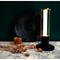 Thumbnail photo of Lighthouse Table Lamp