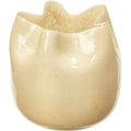 Thumbnail photo of Esther 1