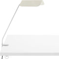 Thumbnail photo of Apex Desk Clip Lamp