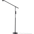 Thumbnail photo of Fifty-fifty Floor Lamp