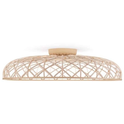 Skynest C Wall-/ceiling Lamp 1