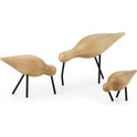 Shorebird Oak-black
