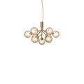 Thumbnail photo of Apiales 9 Chandelier
