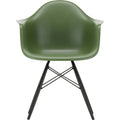 Eames Plastic Armchair Daw - 48 Forest - Black Maple - Matstolar - Charles & Ray Eames - Grön - Metall/trä/plast