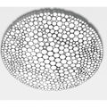 Thumbnail photo of Calipso Ceiling Lamp