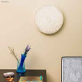 Thumbnail photo of Calipso Ceiling Lamp