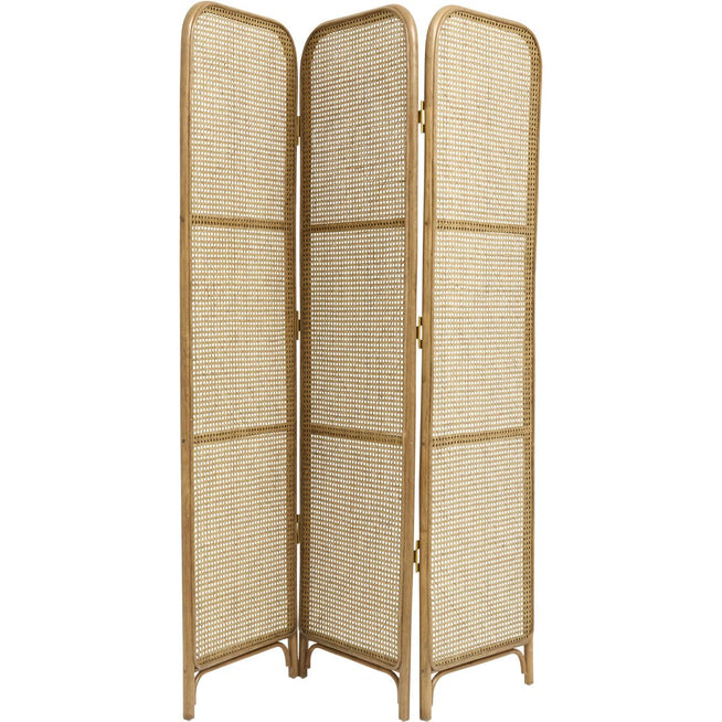Photo of Rattan screen with webbing