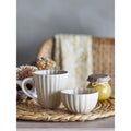 Thumbnail photo of Latina Dish Natural Set of 6 Pieces