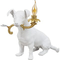 Thumbnail photo of Rio Lampe