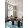 Thumbnail photo of Apiales 18 Chandelier