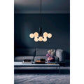 Thumbnail photo of Apiales 9 Chandelier