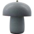 Thumbnail photo of Moss Bordlampe