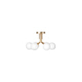 Thumbnail photo of Apiales 6 Ceiling Lamp Brushed