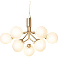 Thumbnail photo of Apiales 9 Chandelier