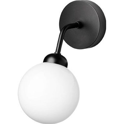 Photo of Apiales Wall Lamp Hardwired