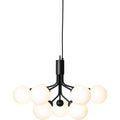 Thumbnail photo of Apiales 9 Chandelier