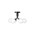 Thumbnail photo of Apiales 6 Ceiling Lamp Satin