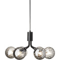 Thumbnail photo of Apiales 6 Chandelier
