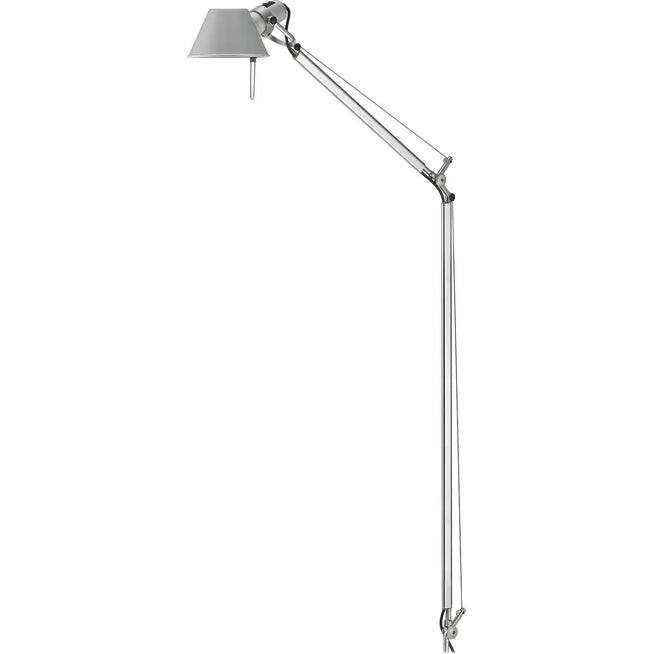 Photo of Tolomeo Reading Floor Lamp