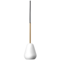 Thumbnail photo of Anoli Spot Pendant