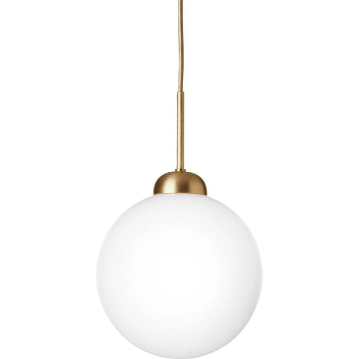 Photo of Apiales 1 Pendant Large