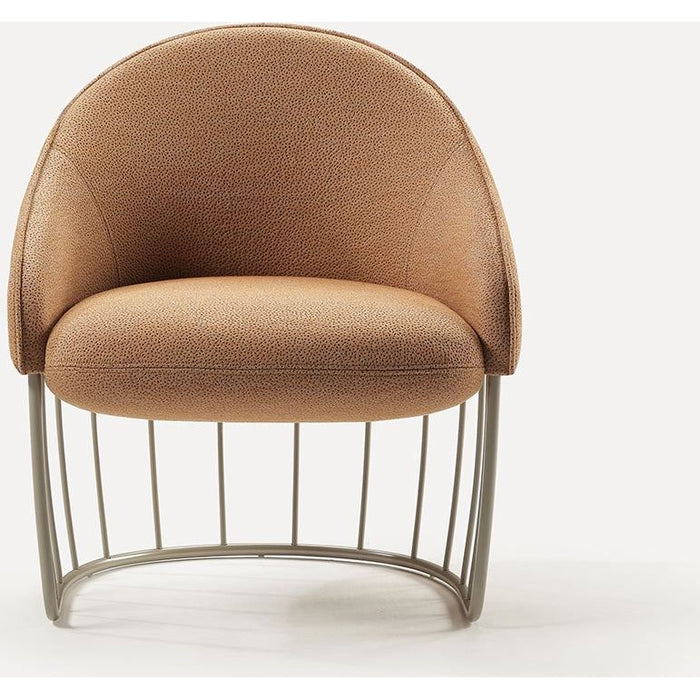 Photo of Tonella Lounge Chair