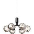 Thumbnail photo of Apiales 6 Chandelier