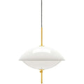 Thumbnail photo of Clam Pendant Lamp